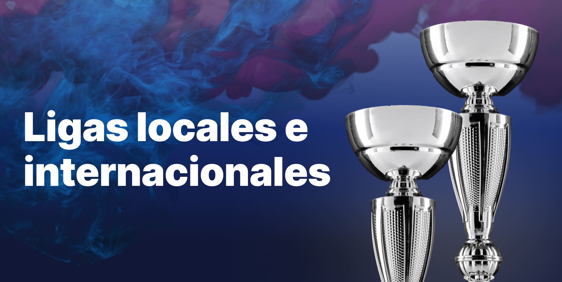 Información sobre las ligas en la plataforma 1xbet Argentina